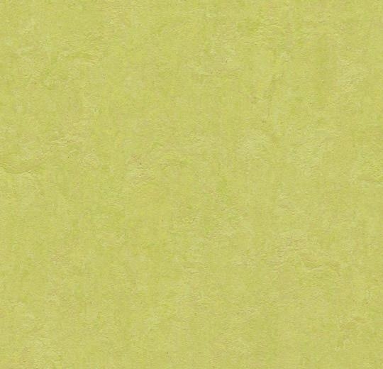 Forbo Marmoleum FRESCO - 3885 spring buds Linoleum Bahnenware 2,5 mm