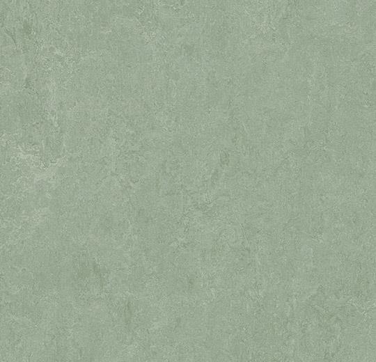 Forbo Marmoleum FRESCO - 3891 sage Linoleum Bahnenware 2,5 mm
