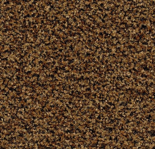 Forbo Coral Brush 