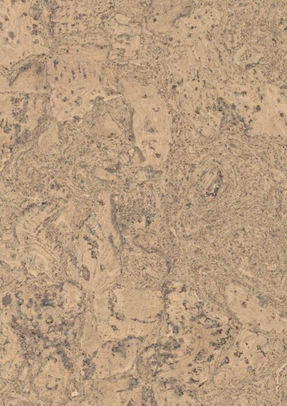 Wicanders | cork pure | Personality Champagne | 80000259