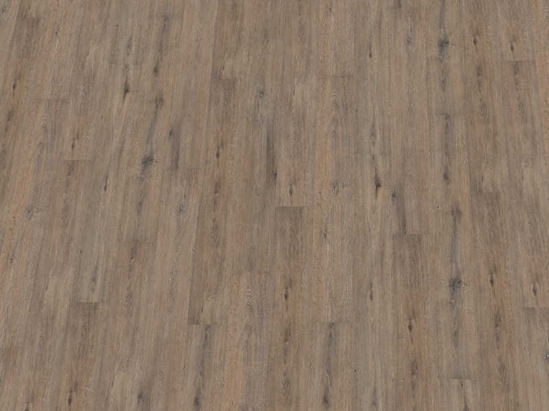 IPC Saphir Plus SPC Click Design Belag 'Eiche austergrau 345-430602' inkl. Dämmung