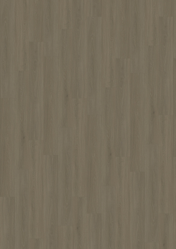 Brilliands flooring Home & Work Glue G44008 Houston