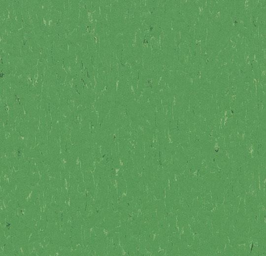 Forbo Marmoleum Piano - 3647 nettle green Linoleum UNI Bahnenware 2,5 mm
