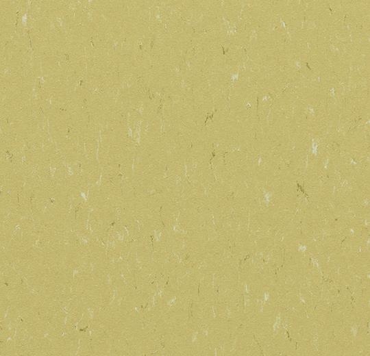 Forbo Marmoleum Piano - 3634 meadow Linoleum UNI Bahnenware 2,5 mm