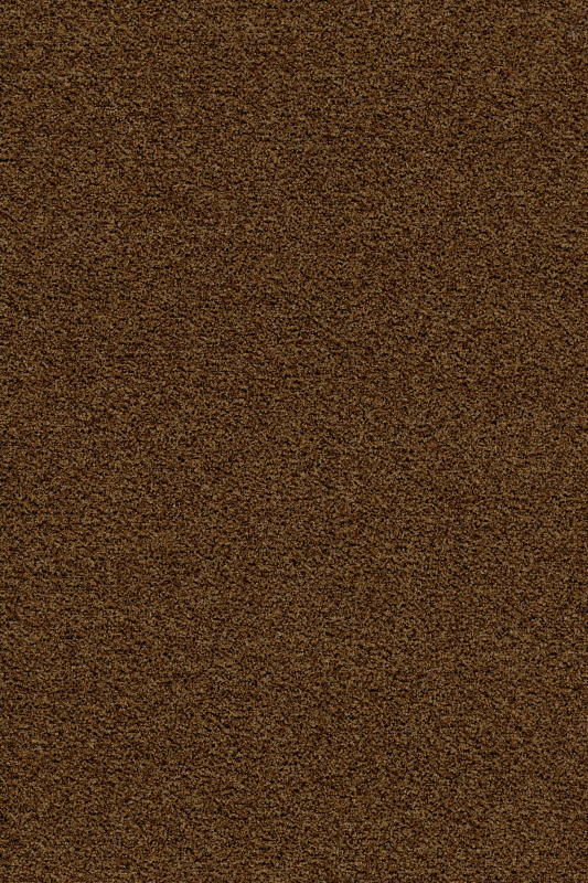 Forbo Coral Brush 
