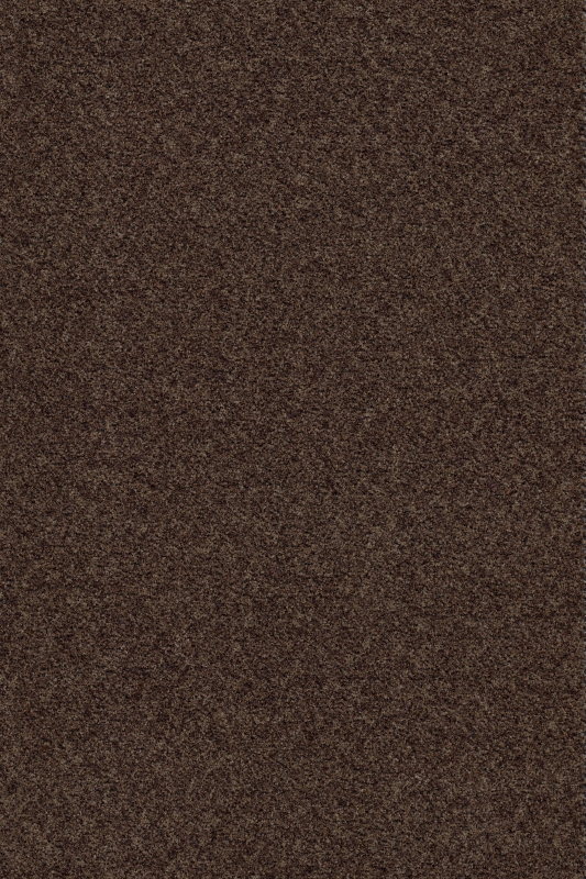 Forbo Coral Brush 