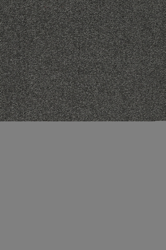 Forbo Coral Classic - 4701 anthracite - Sauberlaufzone