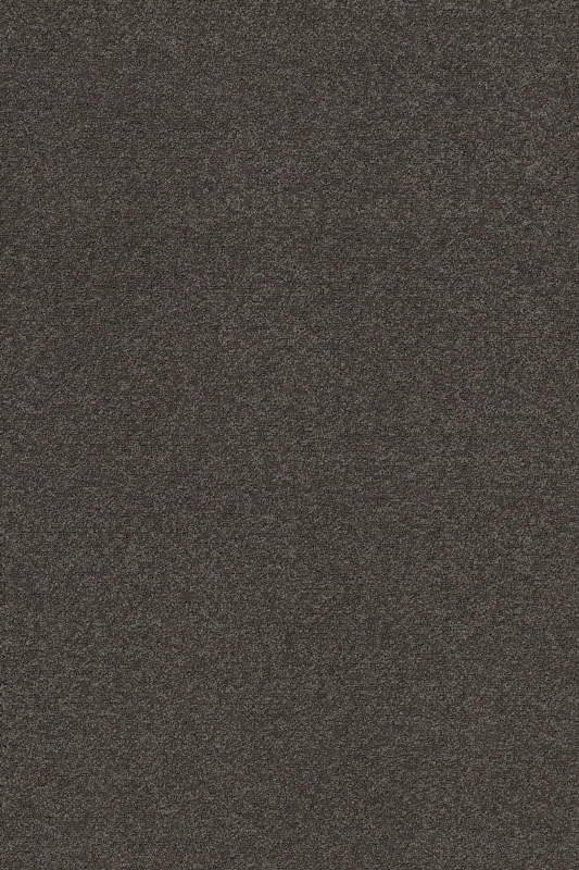 Forbo Coral Classic - 4794 taupe - Sauberlaufzone