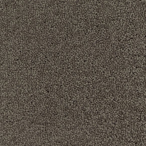 Anker | Teppichboden KASHMIR | Bahnenware 091028-050