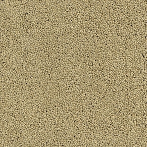 Anker | Teppichboden KASHMIR | Bahnenware 091028-081