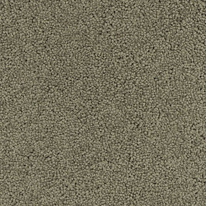 Anker | Teppichboden KASHMIR | Bahnenware 091028-082