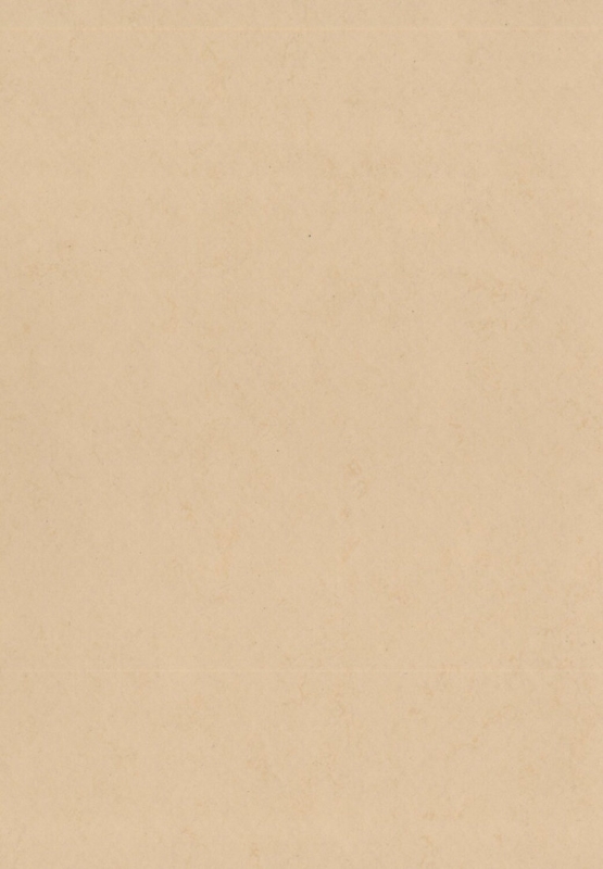 Gerflor DLW Lino Art Urban - 0579 City Clay