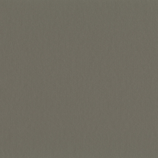 Gerflor DLW Uni Walton NEOCARE™ - 0058 Clay Grey Linoleum Bahnware 2,5 mm