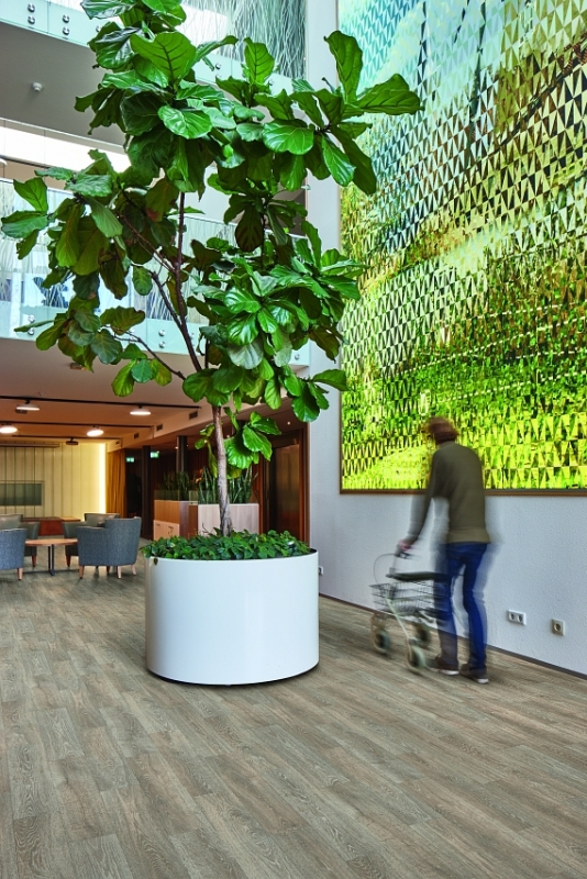 Forbo Eternal Wood - Bahnenware - 11652 vintage oak