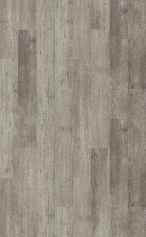 Forbo Allura Click Pro 0.55 | 60356CL5 grey autumn oak | 121,2 x 18,7 cm