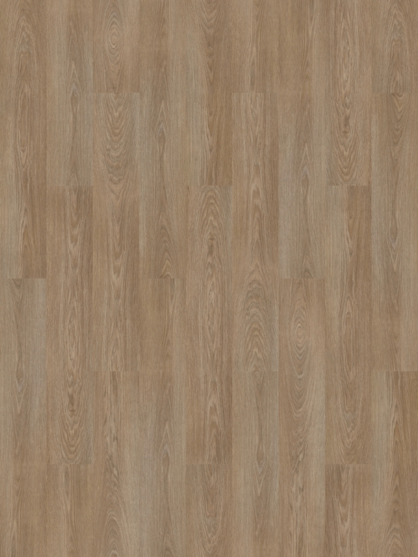 Forbo Allura Click Pro 0.55 | 63535CL5 natural timber | 121,2 x 18,7 cm