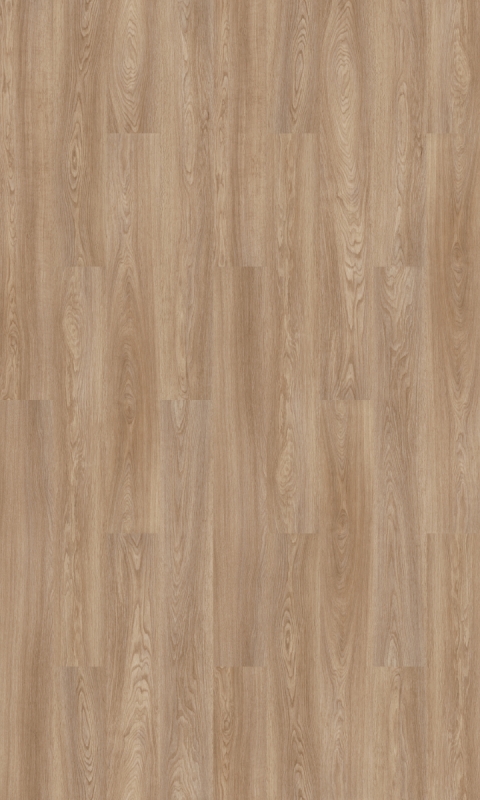 Forbo Allura Click Pro 0.55 | 63643CL5 natural serene oak | 150,5 x 23,7 cm