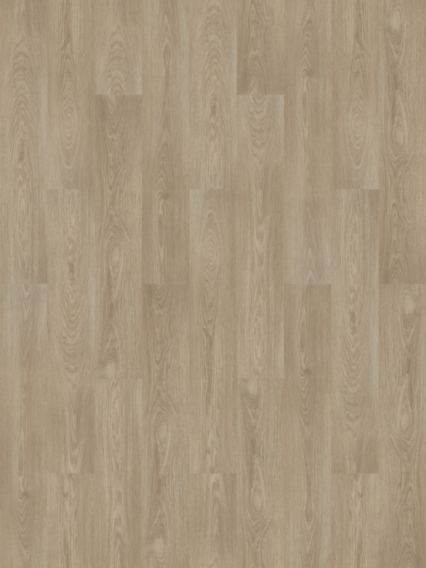 Forbo Allura Dryback | Wood 0,55 | 63533DR5 light timber | 120 x 20 cm