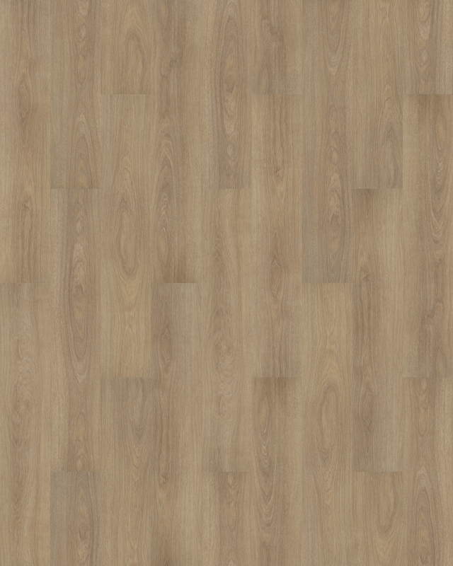 Forbo Allura Dryback | Wood 0,40 | 60288DR4 light giant oak | 180 x 32 cm