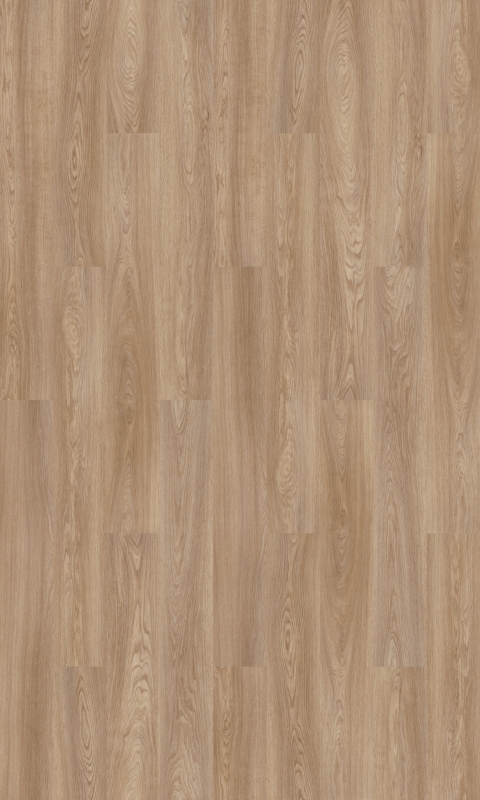 Forbo Allura Dryback | Wood 0,40 | 63643DR4 natural serene oak | 150 x 20 cm