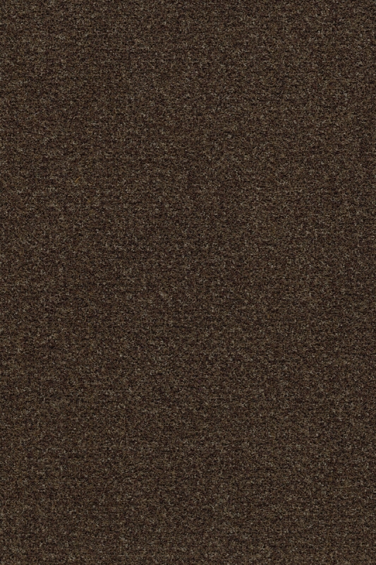Forbo Coral Brush 