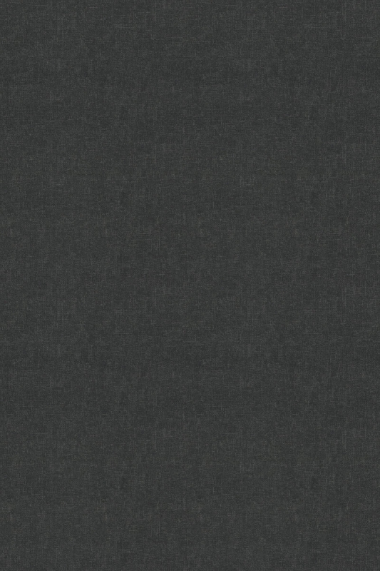 Forbo Flotex Colour - Metro ash s246007