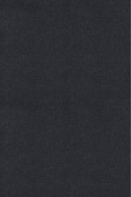 Forbo Flotex Colour - Metro anthracite s246008