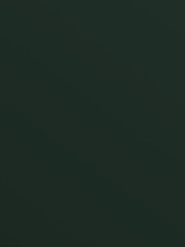 Forbo Furniture Linoleum | Conifer 4174