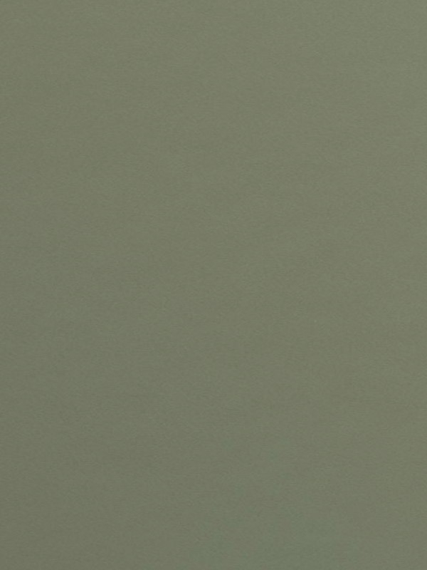 Forbo Furniture Linoleum | Olive 4184