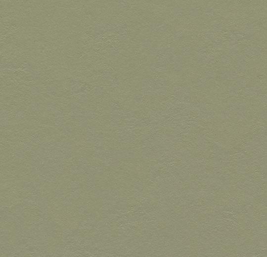 Forbo Marmoleum Walton - 3355 rosemary green Linoleum UNI Bahnenware 2,5 mm
