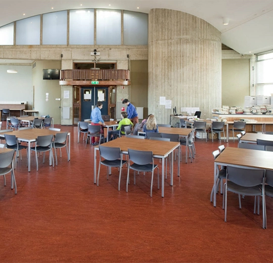 Forbo Marmoleum FRESCO - 3203 henna Linoleum Bahnenware 2,5 mm