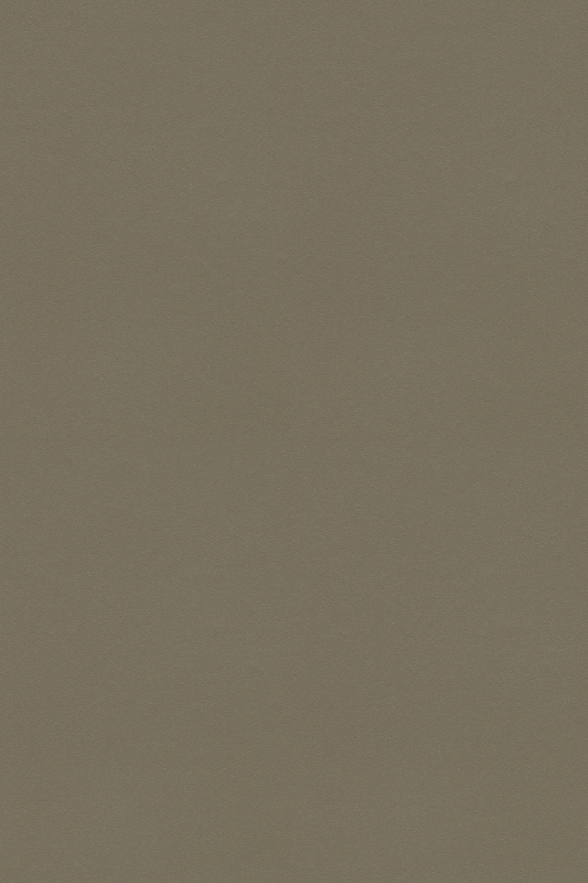 Forbo Safestep Aqua - Bahnenware - 180362 umber