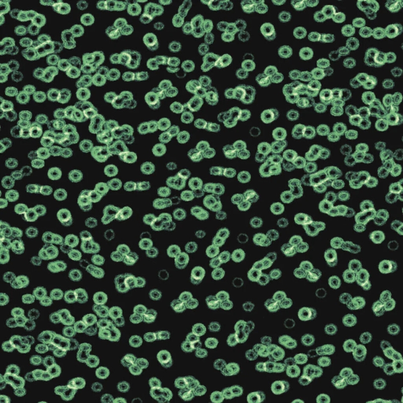 Forbo Flotex Sottsass Designkollektion - Bacteria 990102