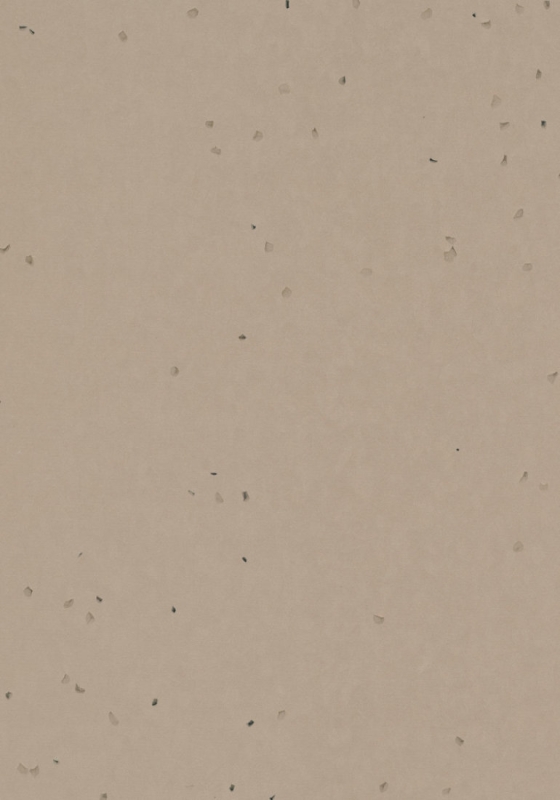 Forbo Sphera Energetic - 50248 nutmeg