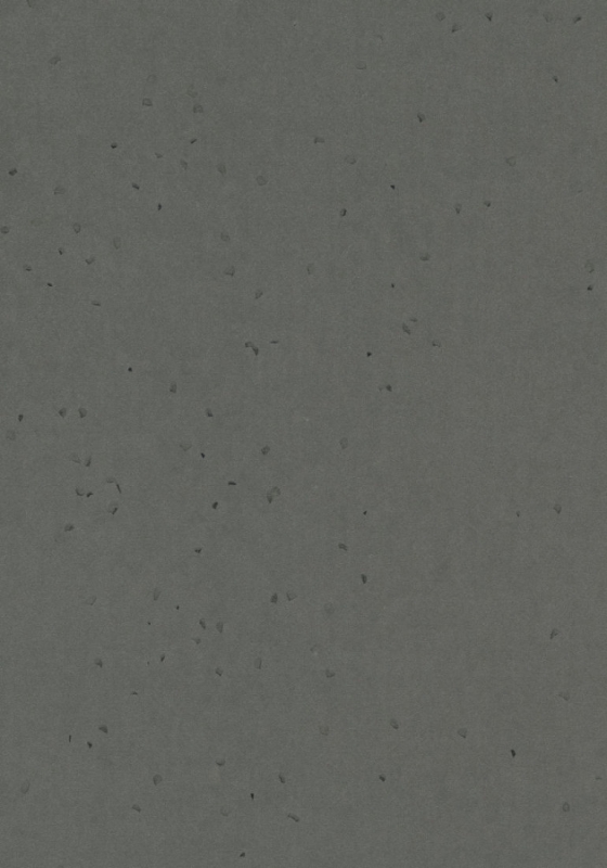 Forbo Sphera Energetic - 50250 ebony