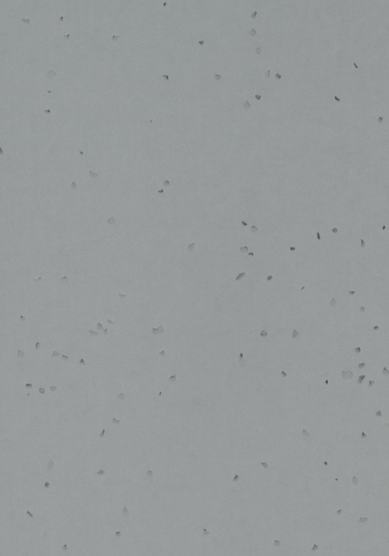 Forbo Sphera Energetic - 50251 pigeon