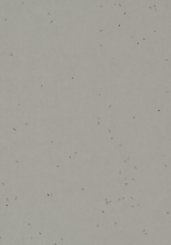 Forbo Sphera Energetic - 50258 elephant