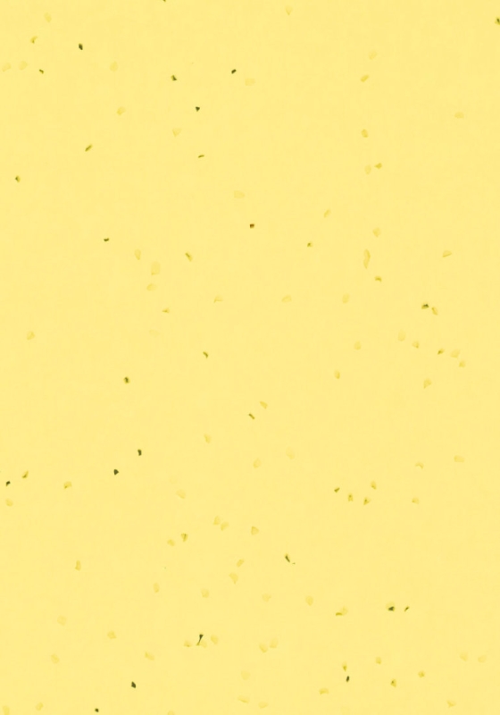 Forbo Sphera Energetic - 50261 banana