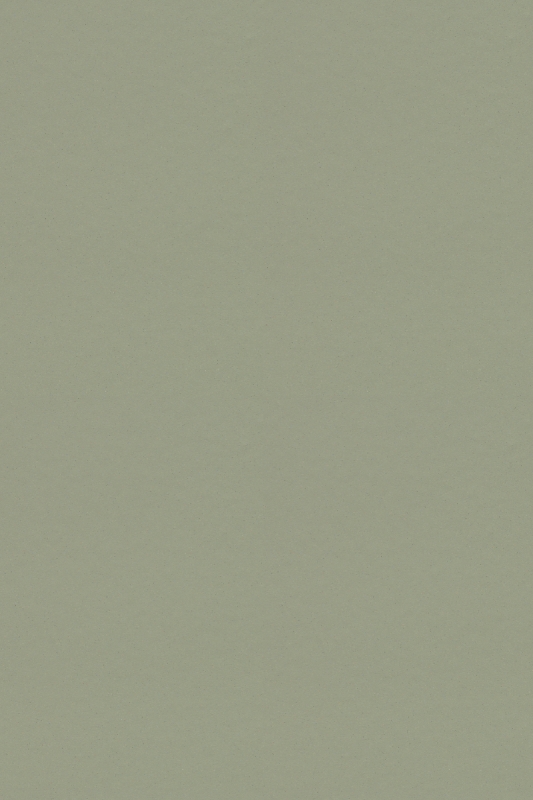 Forbo Surestep Balance - Bahnenware - 173742 sage