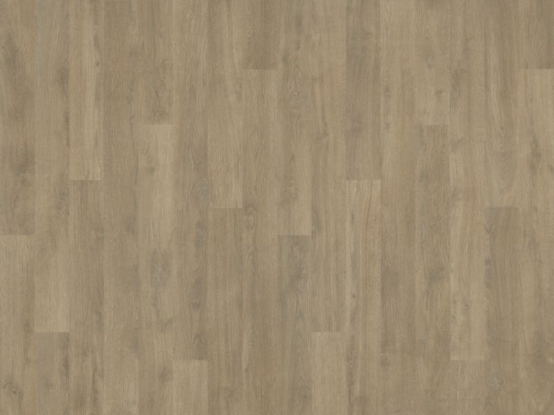 Forbo Surestep Wood - Bahnenware - 18962 whitewash oak