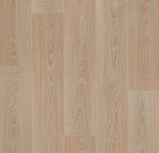 Forbo Eternal Wood - Bahnenware - 13802 blond timber