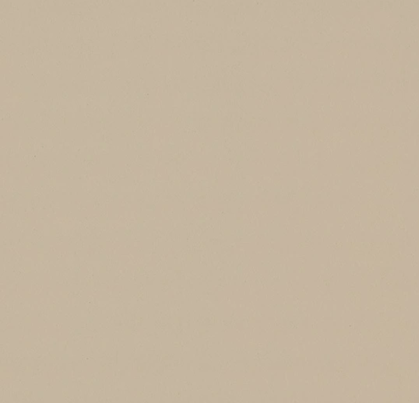 Forbo Furniture Linoleum | Macadamia 4007