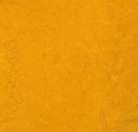 Forbo Marmoleum FRESCO - 3125 golden sunset Linoleum Bahnenware 2,5 mm