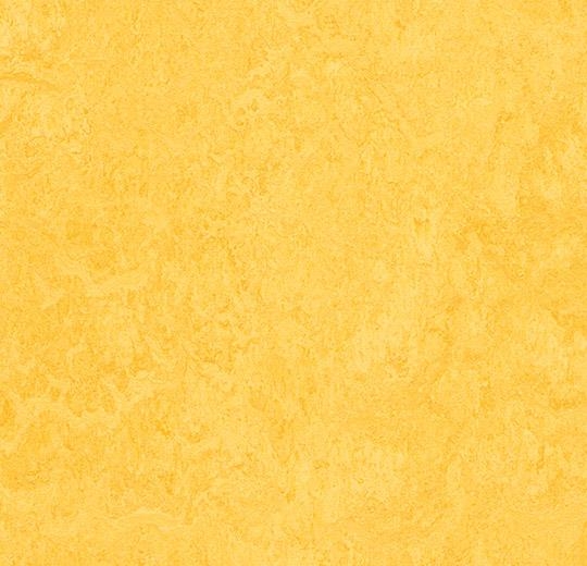 Forbo Marmoleum fresco - 3251 lemon zest Linoleum Bahnware 2,0 mm