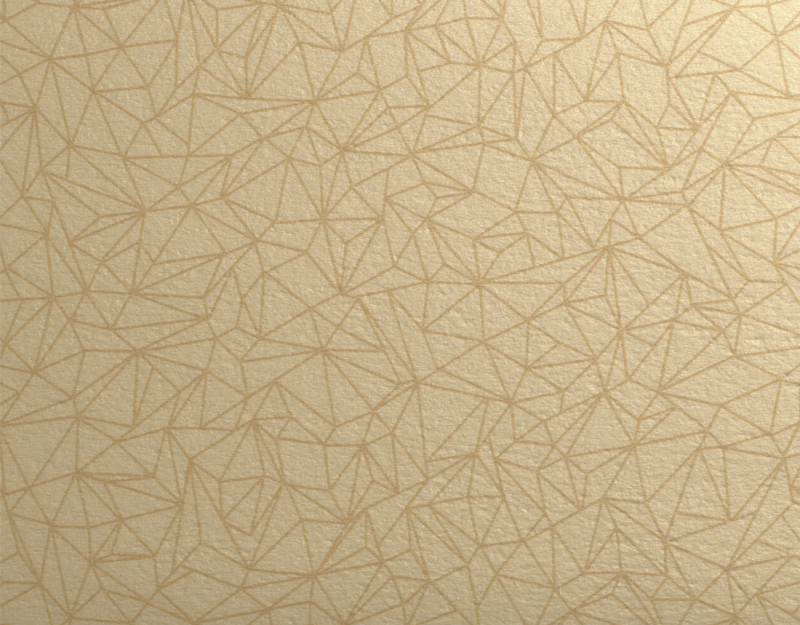 Gerflor Taralay Initial Comfort - 0954 Spider Dore