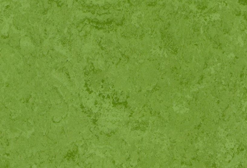 Gerflor DLW Linodur Sport 4 mm Neocare - 1011 Avocado Green Linoleum Bahnenware