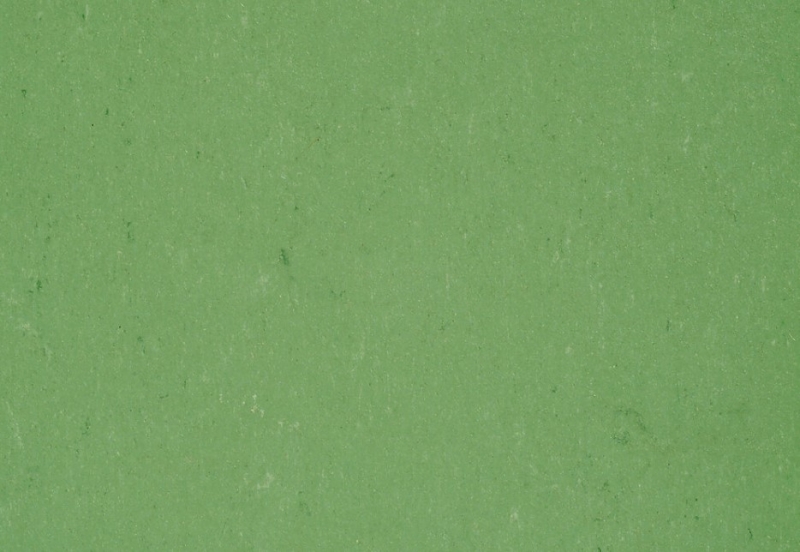 Gerflor DLW COLORETTE NEOCARE™ - 0006 Vivid Green Linoleum Bahnenware 2,5 mm