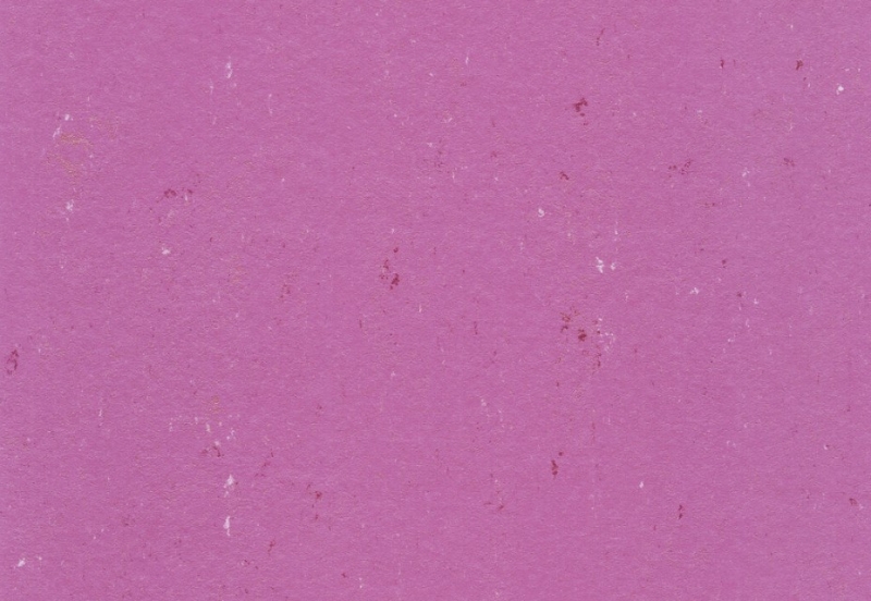 Gerflor DLW COLORETTE NEOCARE™ - 0110 Cadillac Pink Linoleum Bahnenware 2,5 mm