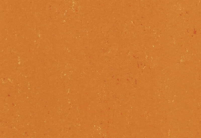 Gerflor DLW COLORETTE NEOCARE™ - 0170 Kumquat Orange Linoleum Bahnenware 2,5 mm