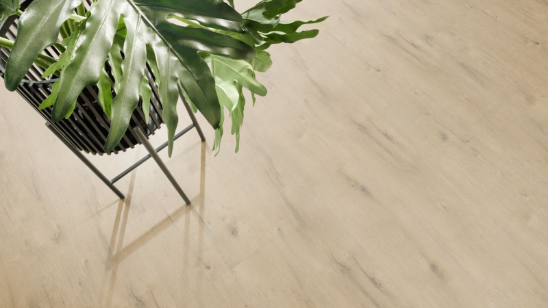 Fixed Klebevinylboden Eiche Hell SALE